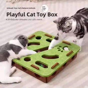 Essential Cat Care: Best Trees, Toys, and Fountains for 2026